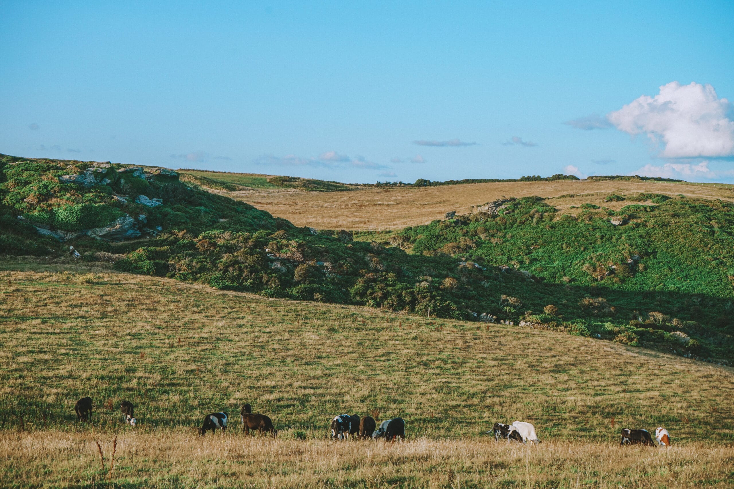 the-english-riviera-autumn-walking-festival-your-devon-escape