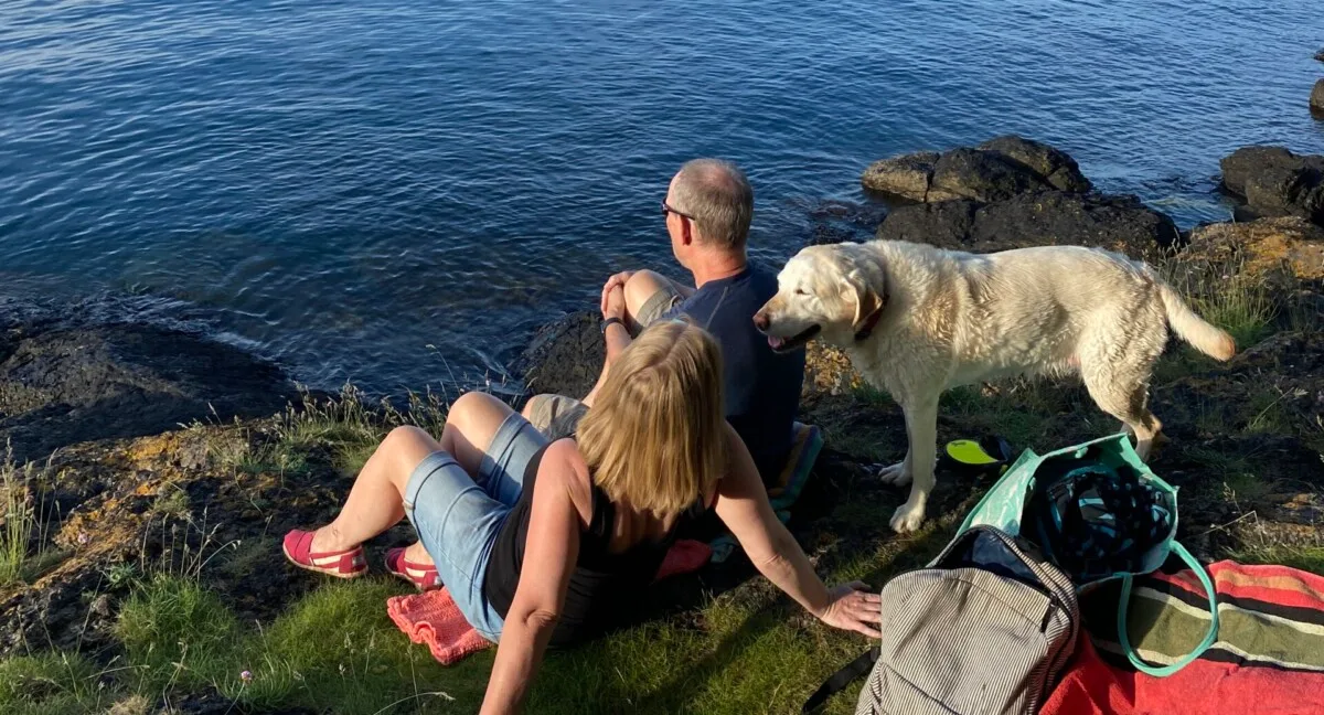 Things to Do in Devon with a Dog