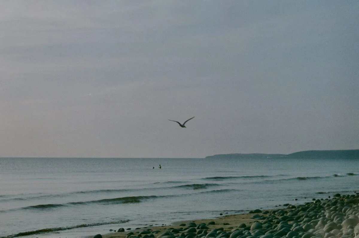 christmas day swims south devon