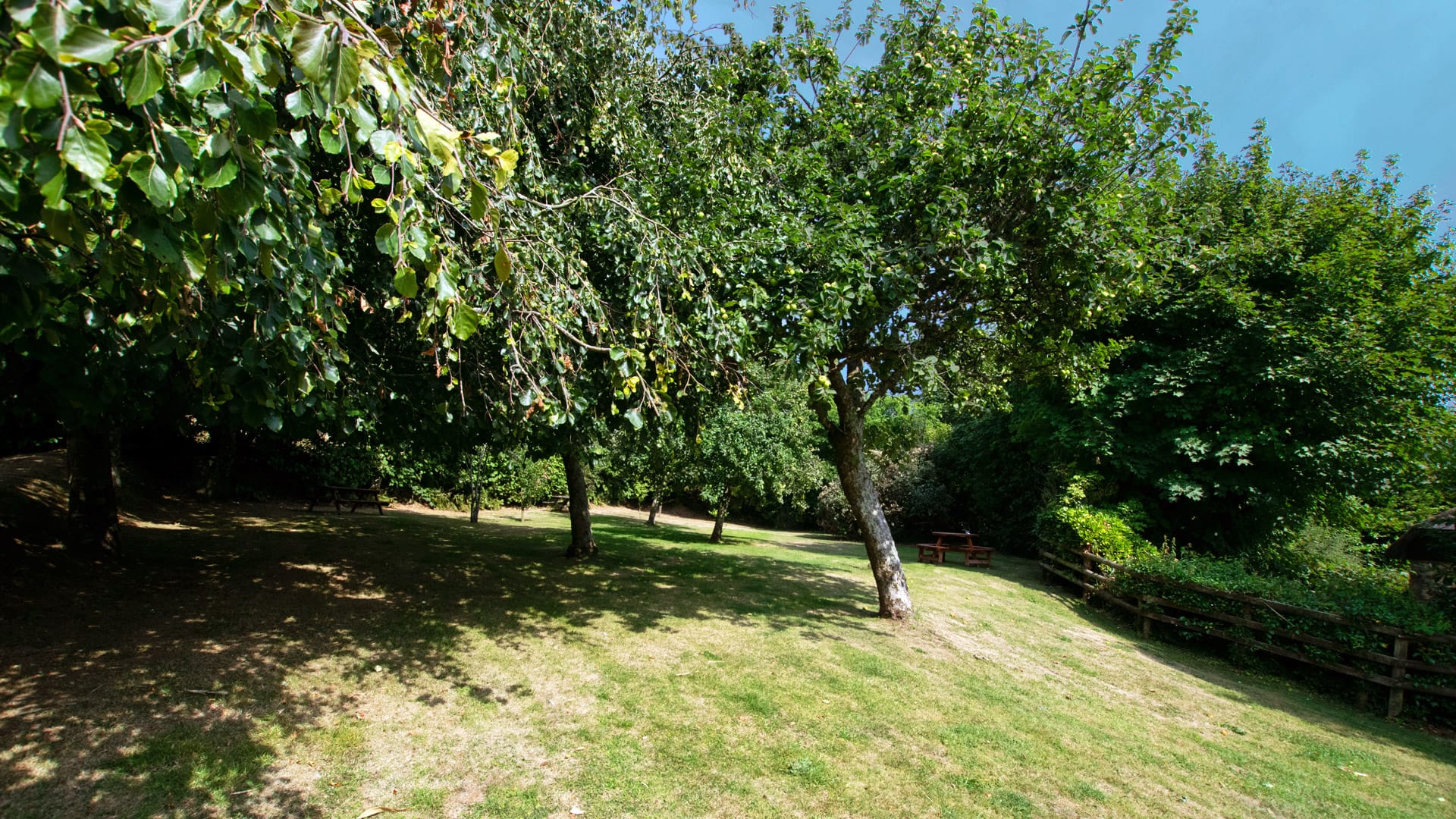 Shepherds Cottage and Cider House, Blackawton