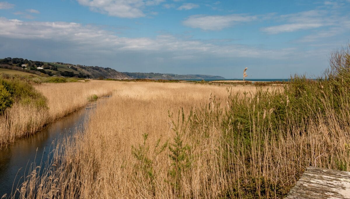 winter slapton and torcross